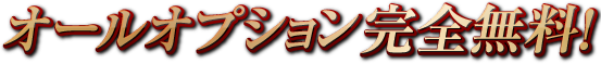 オプション無料